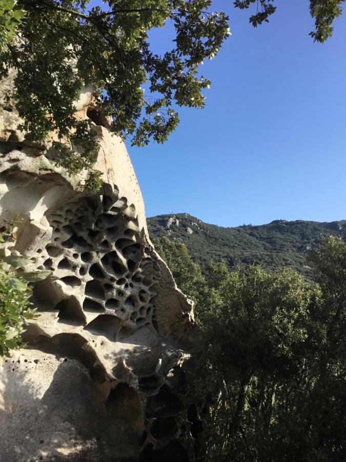 La Casa Di Marco Villa Nuoro megye Kültér fotó